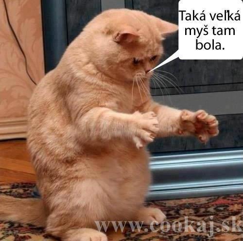 takhle velká ta myš byla